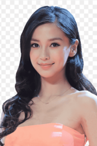 Profil selebriti